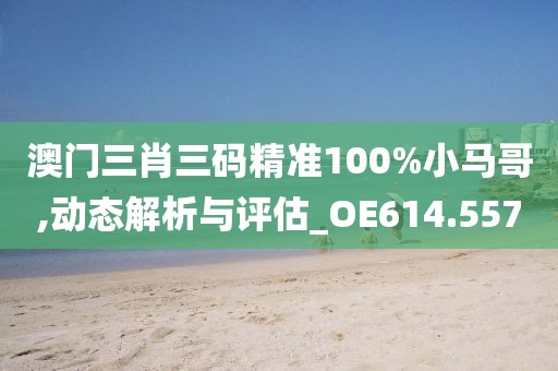 澳门三肖三码精准100%小马哥,动态解析与评估_OE614.557