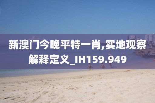 新澳门今晚平特一肖,实地观察解释定义_IH159.949