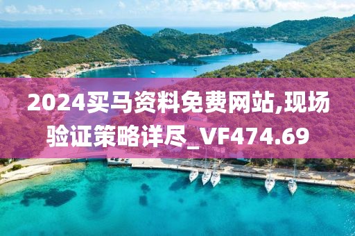 2024买马资料免费网站,现场验证策略详尽_VF474.69