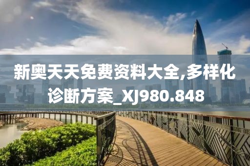 新奥天天免费资料大全,多样化诊断方案_XJ980.848