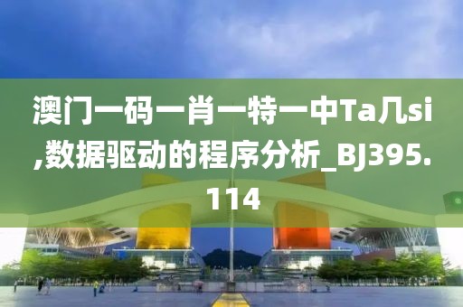 澳门一码一肖一特一中Ta几si,数据驱动的程序分析_BJ395.114