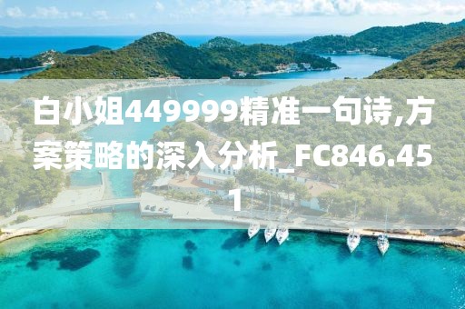 白小姐449999精准一句诗,方案策略的深入分析_FC846.451