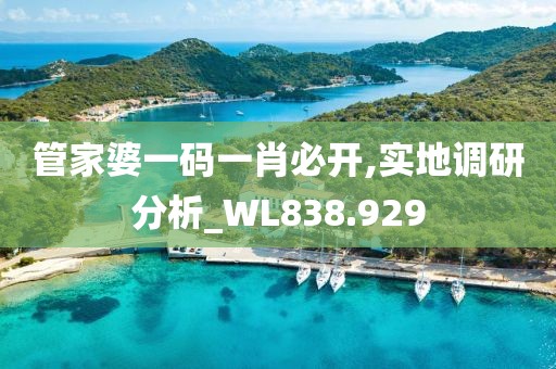 2024年12月 第1285页