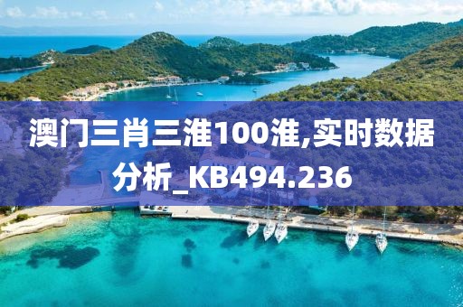 澳门三肖三淮100淮,实时数据分析_KB494.236