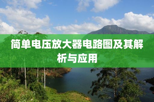简单电压放大器电路图及其解析与应用