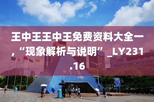 王中王王中王免费资料大全一,“现象解析与说明”_LY231.16