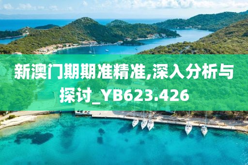 新澳门期期准精准,深入分析与探讨_YB623.426