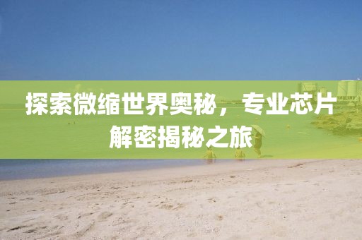 探索微缩世界奥秘，专业芯片解密揭秘之旅