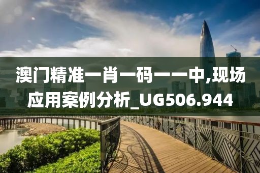 澳门精准一肖一码一一中,现场应用案例分析_UG506.944
