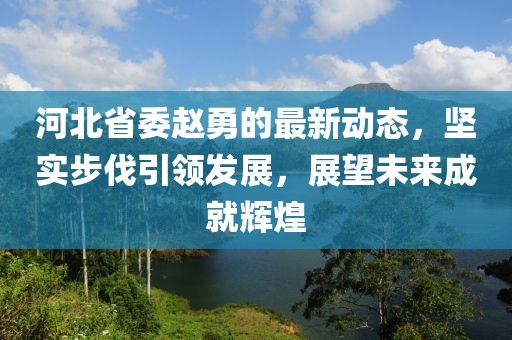 河北省委赵勇的最新动态，坚实步伐引领发展，展望未来成就辉煌