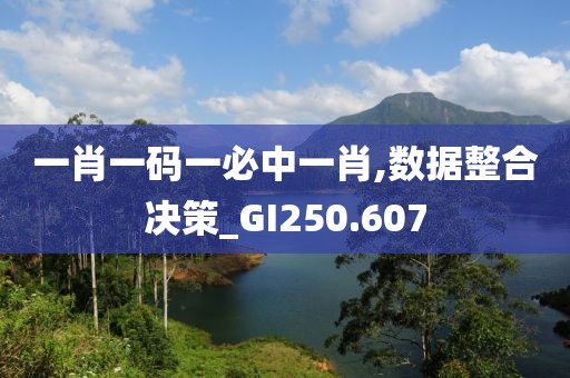 一肖一码一必中一肖,数据整合决策_GI250.607