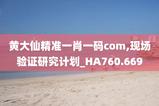 黄大仙精准一肖一码com,现场验证研究计划_HA760.669