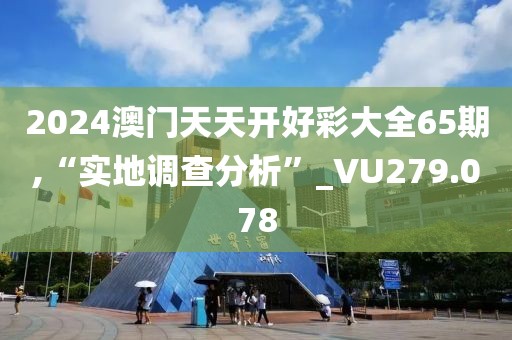 2024澳门天天开好彩大全65期,“实地调查分析”_VU279.078