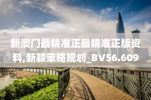 新澳门最精准正最精准正版资料,新颖策略规划_BV56.609