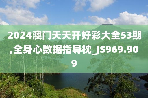 2024澳门天天开好彩大全53期,全身心数据指导枕_JS969.909