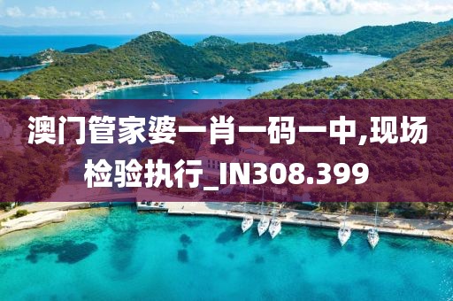澳门管家婆一肖一码一中,现场检验执行_IN308.399