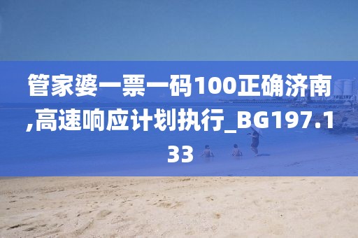 管家婆一票一码100正确济南,高速响应计划执行_BG197.133