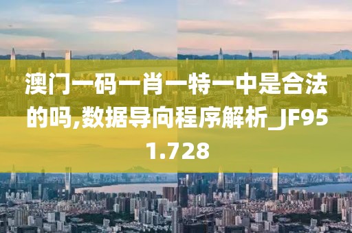 澳门一码一肖一特一中是合法的吗,数据导向程序解析_JF951.728