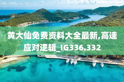 黄大仙免费资料大全最新,高速应对逻辑_IG336.332