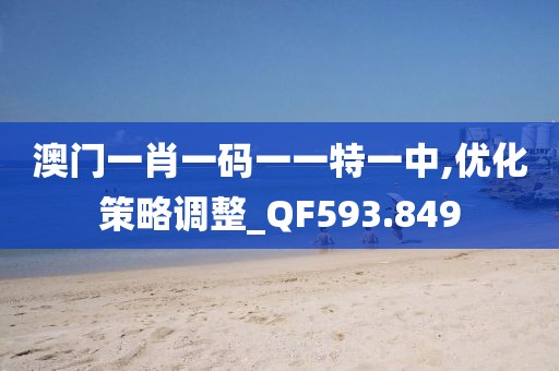 澳门一肖一码一一特一中,优化策略调整_QF593.849