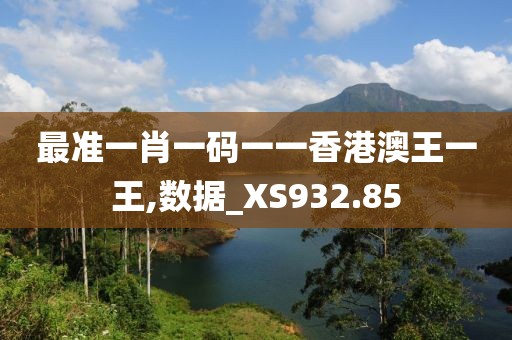最准一肖一码一一香港澳王一王,数据_XS932.85