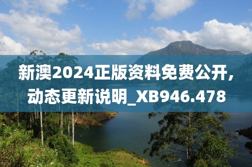 新澳2024正版资料免费公开,动态更新说明_XB946.478