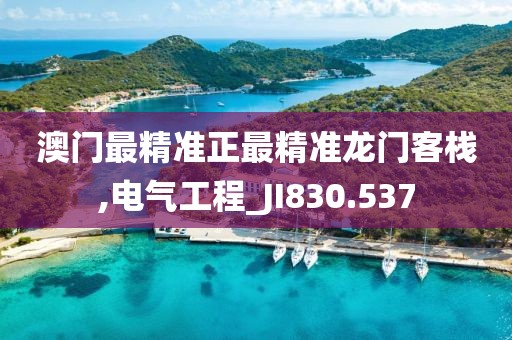 澳门最精准正最精准龙门客栈,电气工程_JI830.537
