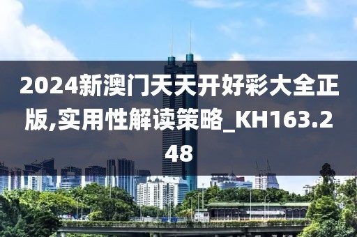2024新澳门天天开好彩大全正版,实用性解读策略_KH163.248