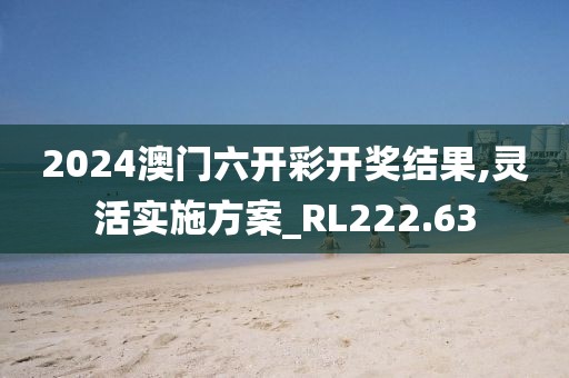 2024澳门六开彩开奖结果,灵活实施方案_RL222.63
