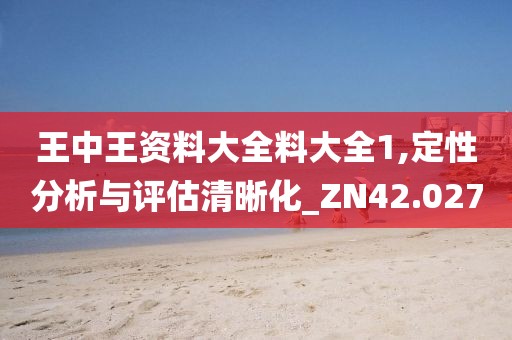 王中王资料大全料大全1,定性分析与评估清晰化_ZN42.027