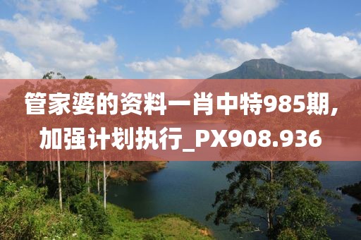 管家婆的资料一肖中特985期,加强计划执行_PX908.936