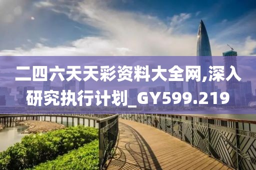 二四六天天彩资料大全网,深入研究执行计划_GY599.219