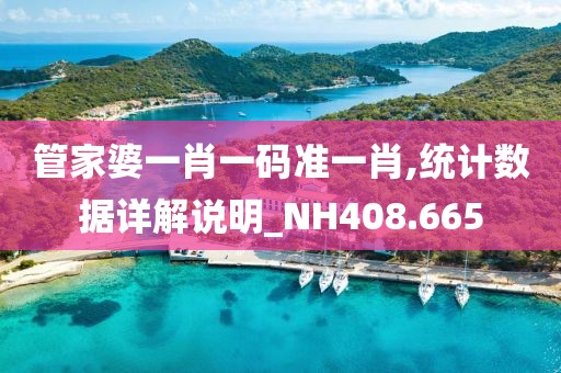 管家婆一肖一码准一肖,统计数据详解说明_NH408.665