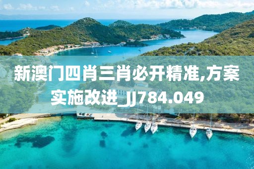 新澳门四肖三肖必开精准,方案实施改进_JJ784.049