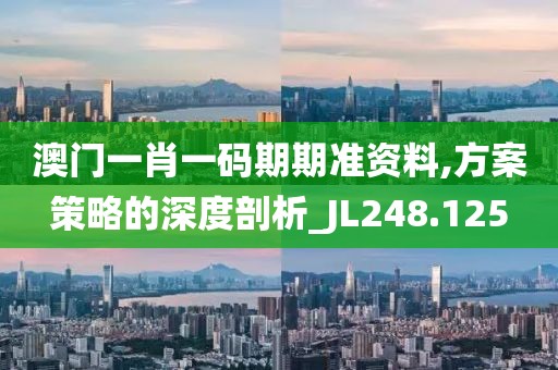 澳门一肖一码期期准资料,方案策略的深度剖析_JL248.125
