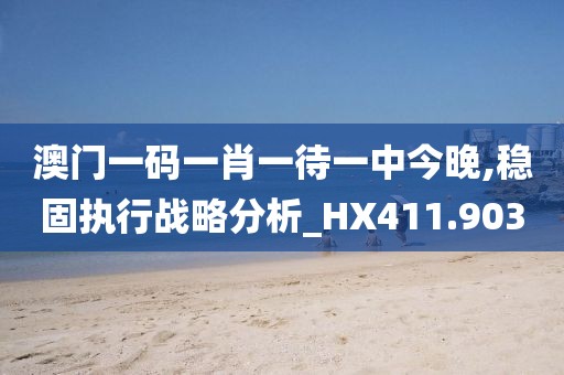 澳门一码一肖一待一中今晚,稳固执行战略分析_HX411.903