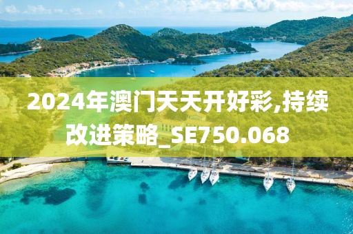 2024年澳门天天开好彩,持续改进策略_SE750.068