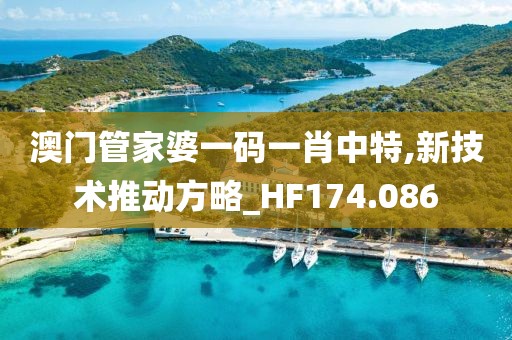 澳门管家婆一码一肖中特,新技术推动方略_HF174.086