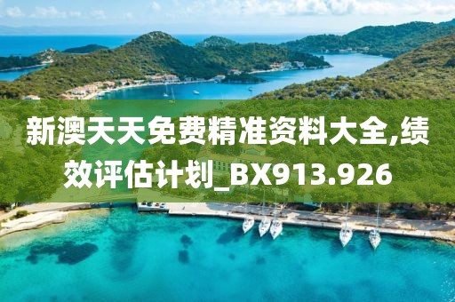 新澳天天免费精准资料大全,绩效评估计划_BX913.926