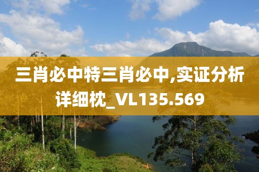 三肖必中特三肖必中,实证分析详细枕_VL135.569