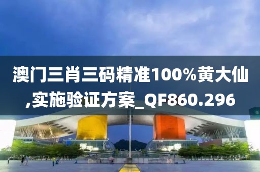 澳门三肖三码精准100%黄大仙,实施验证方案_QF860.296