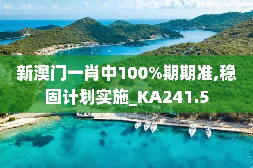 新澳门一肖中100%期期准,稳固计划实施_KA241.5