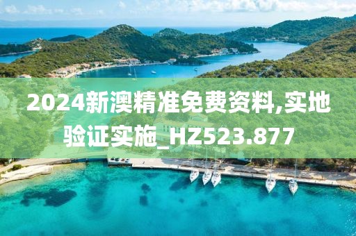 2024新澳精准免费资料,实地验证实施_HZ523.877