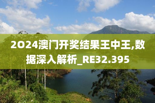 2O24澳门开奖结果王中王,数据深入解析_RE32.395