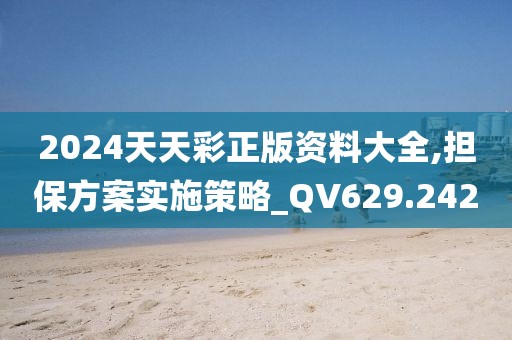 2024天天彩正版资料大全,担保方案实施策略_QV629.242