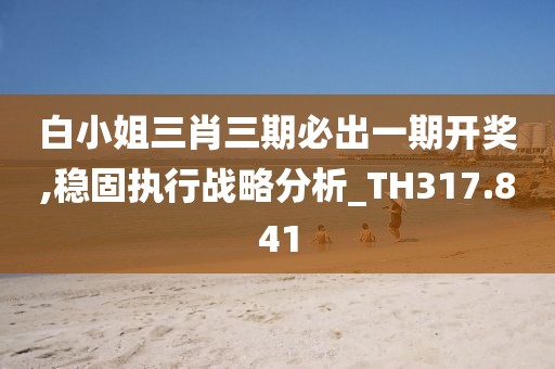 白小姐三肖三期必出一期开奖,稳固执行战略分析_TH317.841