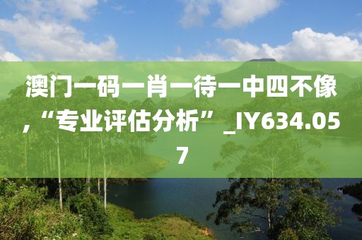 澳门一码一肖一待一中四不像,“专业评估分析”_IY634.057