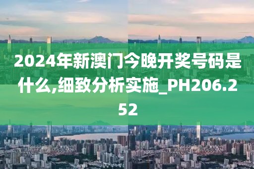 2024年新澳门今晚开奖号码是什么,细致分析实施_PH206.252
