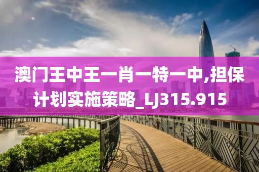 澳门王中王一肖一特一中,担保计划实施策略_LJ315.915