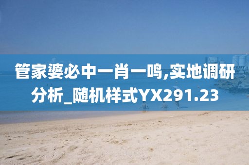 管家婆必中一肖一鸣,实地调研分析_随机样式YX291.23